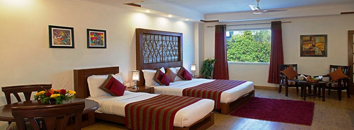 463/Anila Hotel - New Delhi - 10.jpg